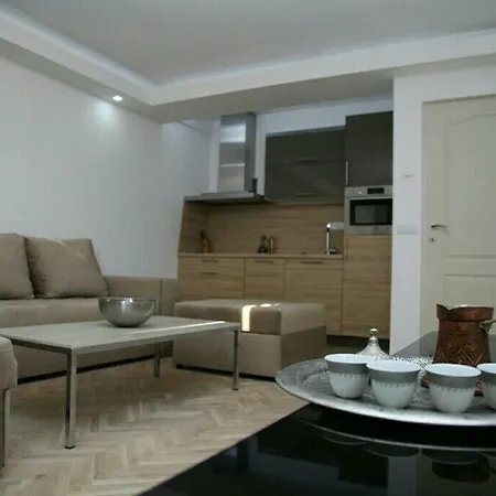 Luxury In Center Of Ilidza